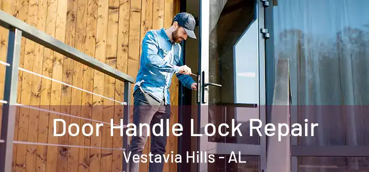 Door Handle Lock Repair Vestavia Hills - AL