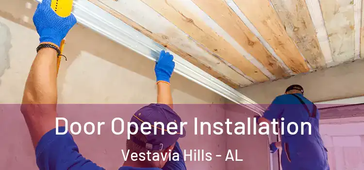 Door Opener Installation Vestavia Hills - AL