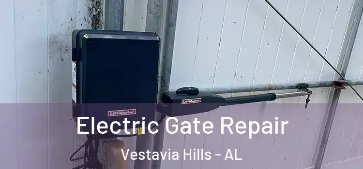 Electric Gate Repair Vestavia Hills - AL