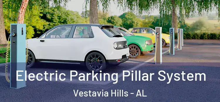 Electric Parking Pillar System Vestavia Hills - AL