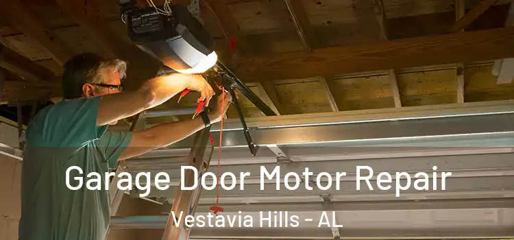  Garage Door Motor Repair Vestavia Hills - AL