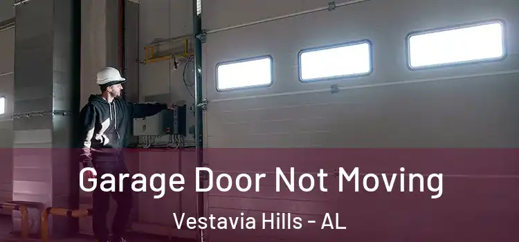  Garage Door Not Moving Vestavia Hills - AL