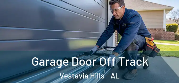  Garage Door Off Track Vestavia Hills - AL