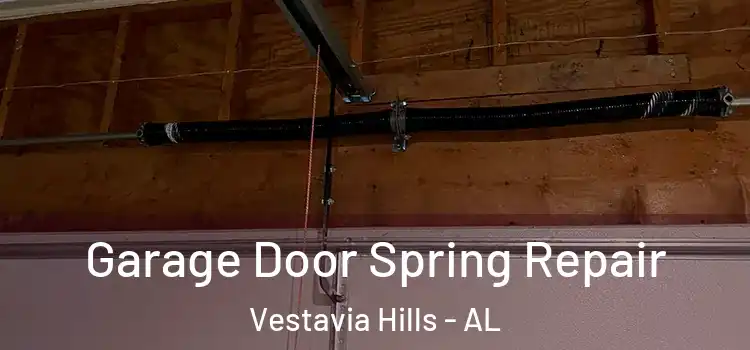  Garage Door Spring Repair Vestavia Hills - AL