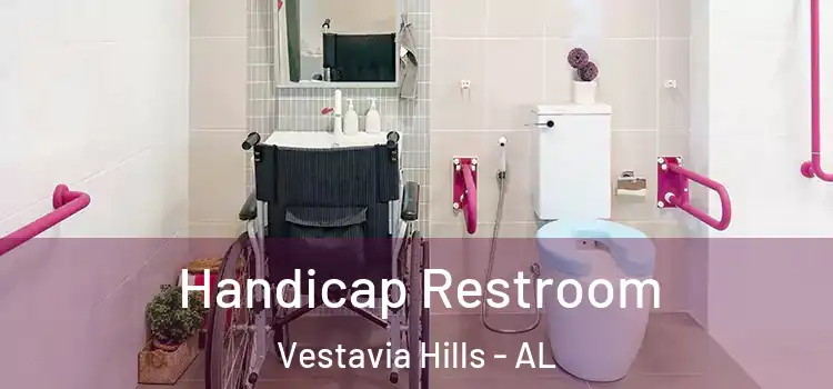 Handicap Restroom Vestavia Hills - AL