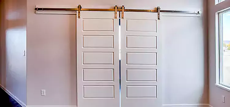 Glass Barn Door with Installation Hardware Kit Vestavia Hills