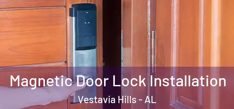  Magnetic Door Lock Installation Vestavia Hills - AL