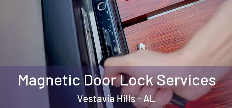 Magnetic Door Lock Services Vestavia Hills - AL