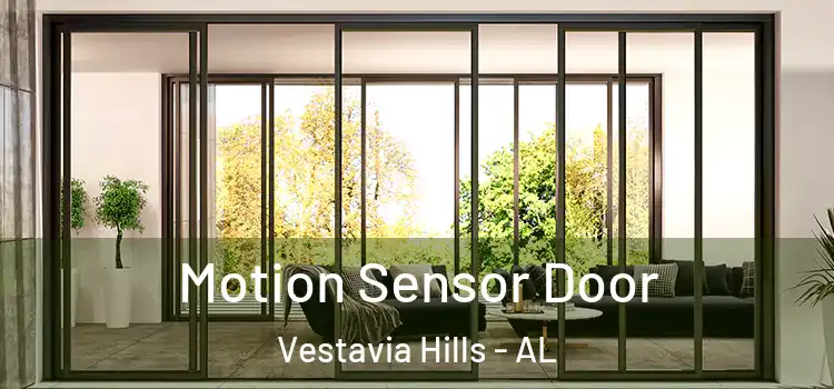 Motion Sensor Door Vestavia Hills - AL