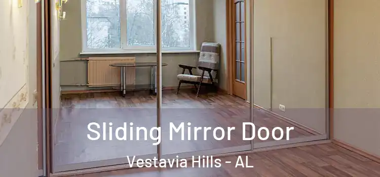  Sliding Mirror Door Vestavia Hills - AL
